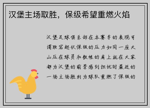 汉堡主场取胜，保级希望重燃火焰
